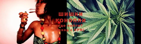гидропоника Белокуриха