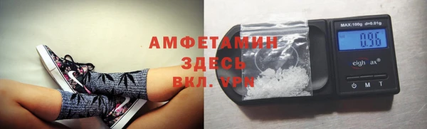 твердый Елизово