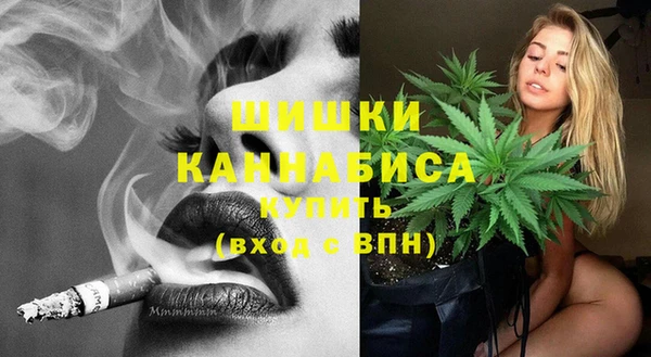 гидропоника Белокуриха