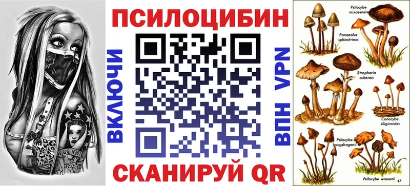 Галлюциногенные грибы GOLDEN TEACHER  где купить   Облучье 