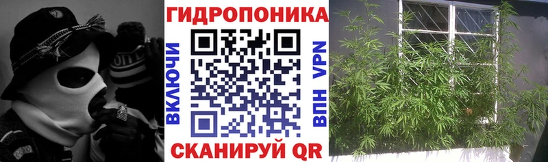 продажа наркотиков  Облучье  Бошки марихуана VHQ 